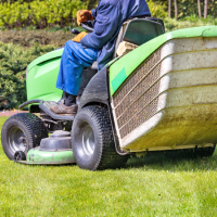 louisville-handyman-services-lawn-care